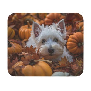 May include: A white West Highland White Terrier dog with pointed ears and dark eyes sits amidst a collection of orange pumpkins and scattered brown autumn leaves. The dog is positioned centrally, surrounded by the seasonal harvest produce.