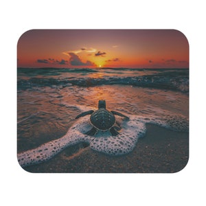 May include: A small sea turtle crawls towards the ocean at sunset. The turtle is in the foreground, with the ocean and a colourful sunset in the background.