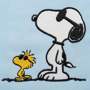 Cartoon Dog & Bird Embroidery Design | Retro Best Friends Patch (Digital File) image 1