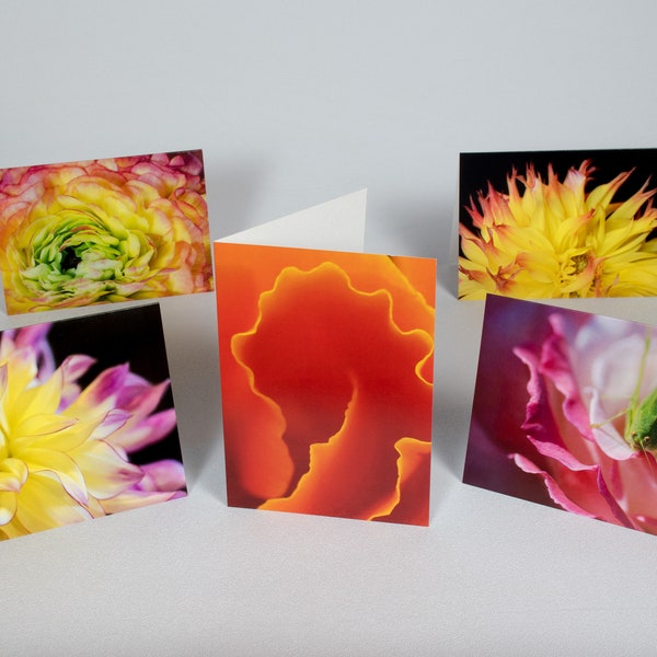 Blank Greeting Cards 5x7 | Macro Photography | Flowers Floral