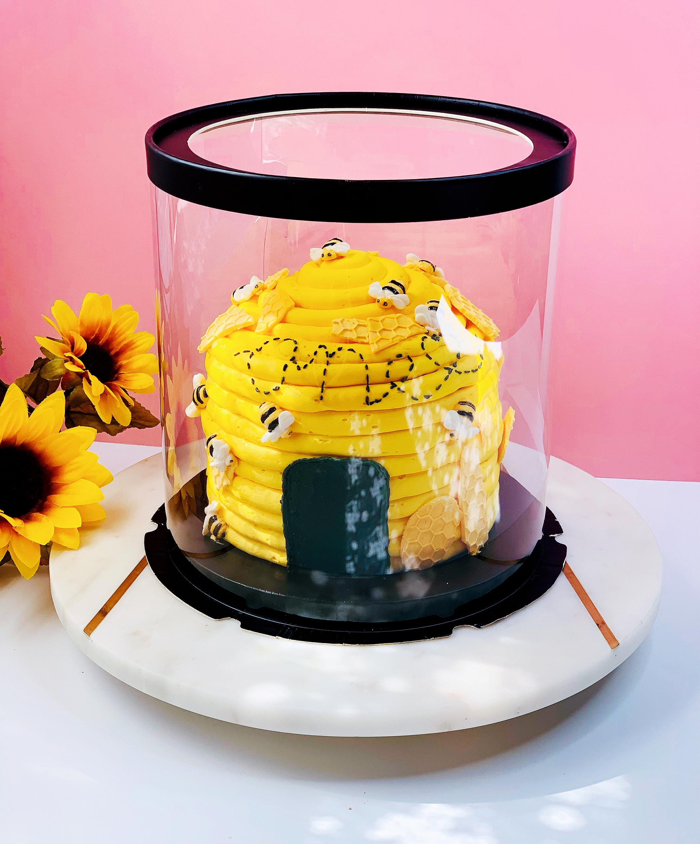 Clear Cake Boxes 5 Pack - Clear Gift Boxes 8.5" x 9"