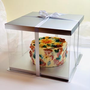 Clear Cake Boxes 5 Pack: 13&quot; x 10&quot; PET Plastic, Recyclable