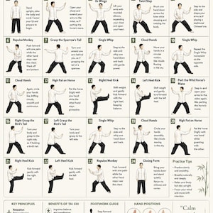 Könnte beinhalten: Ein weißes Referenzposter mit dem Titel Yang Style 24 Form Tai Chi Chuan. Es zeigt vierundzwanzig nummerierte Illustrationen einer Person in weißer Uniform bei der Ausführung von Bewegungen, mit Textbeschreibungen, Prinzipien und Handhaltungen.