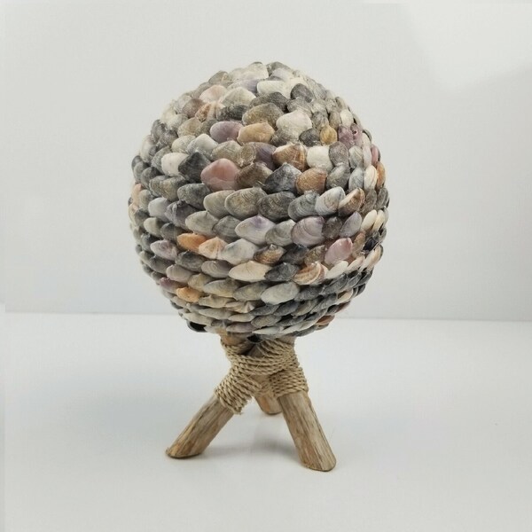 Sea Shell Sculpture - Etsy