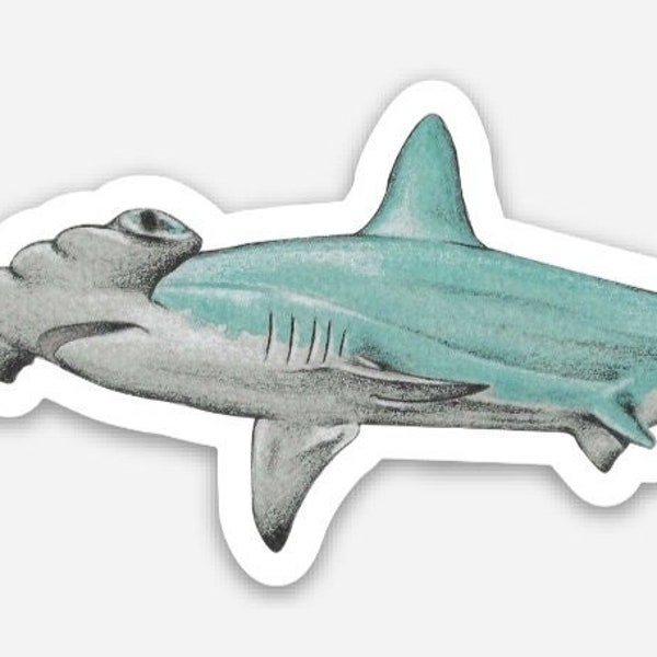 Hammerhead Shark 001 Vinyl Sticker