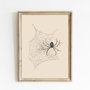 Halloween Spider Print | Halloween Home Decor | Spider Web Wall Art | Fall Printables | Trendy Wall Art | Spooky Season Art | Digital Print