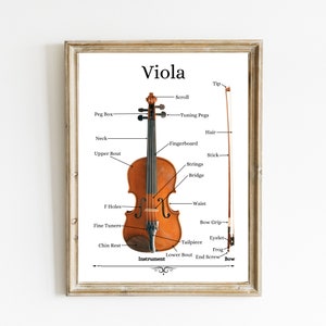Viola Print | Viola Instrument Diagram | Instrument Print | Music Education Print | Music Classroom Decor | Viola Wall Art | DIGITAL PRINT