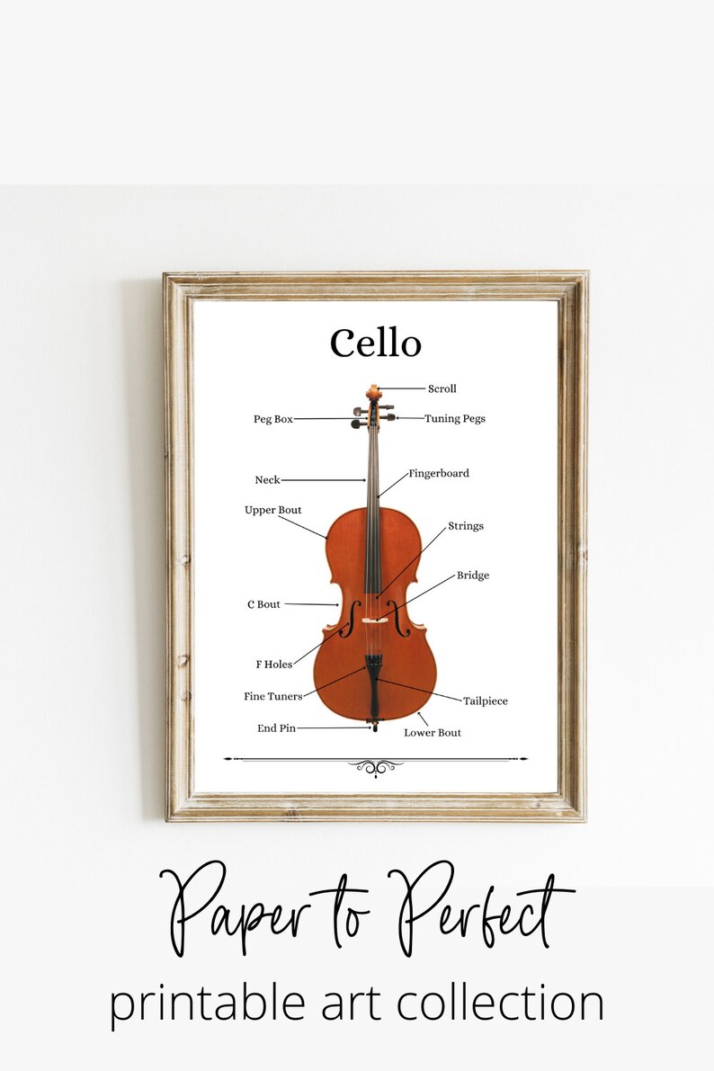 Cello Partds Cello Print | Cello Instrument Anatomy | Music Education Printable ...