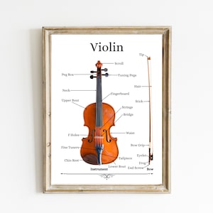 Violin Print | Violin Instrument Diagram | Musical Instrument Art | Violin Chart | Music Education Printable | Music Decor | DIGITAL PRINT