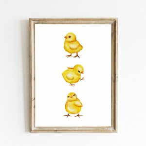 May include: A framed print featuring three yellow chicks in a row. The chicks are depicted in a watercolour style, with soft, fluffy feathers and bright yellow beaks.