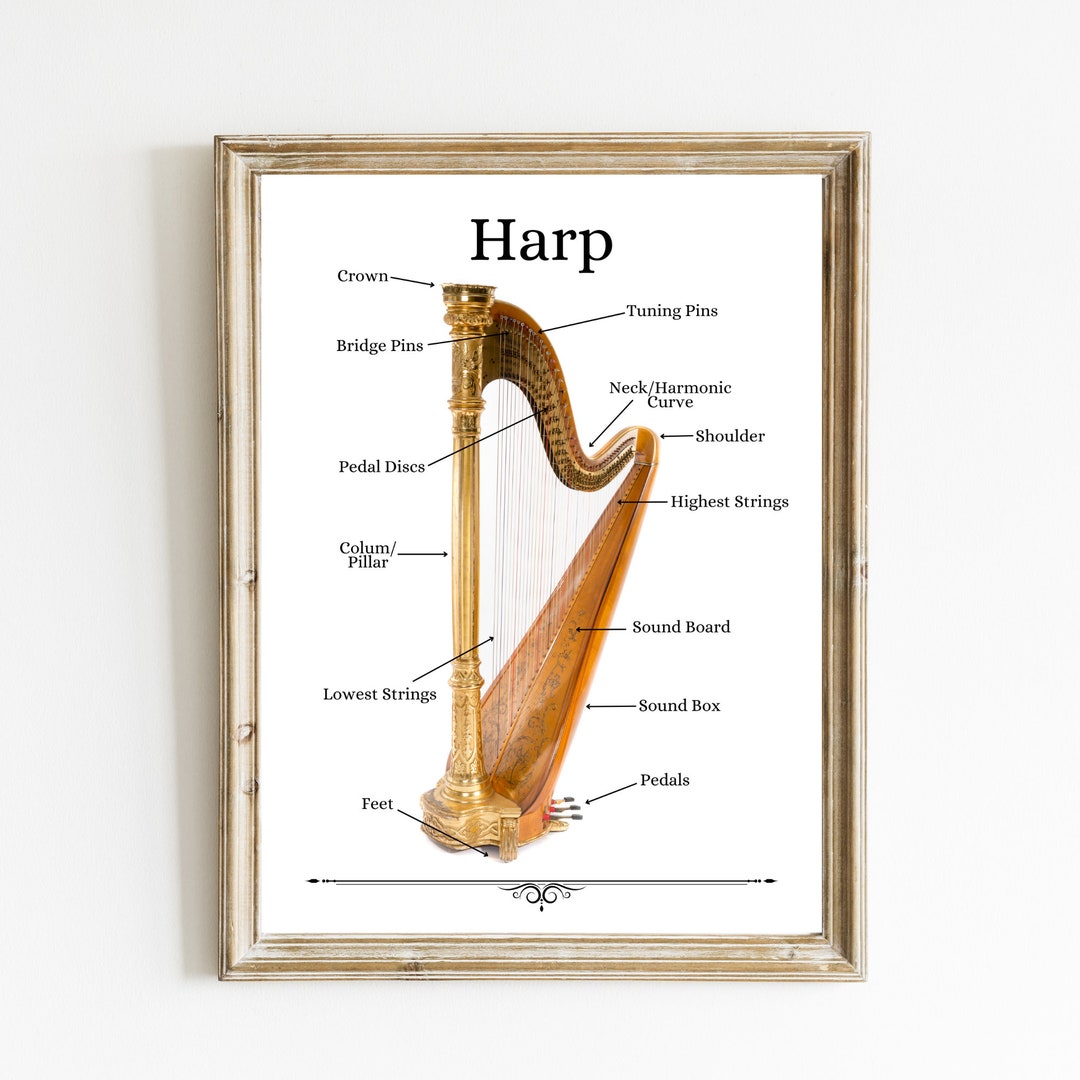 Harp Print Harp Instrument Diagram Parts of the Harp Etsy