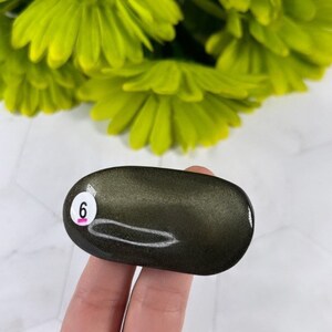 Può includere: Una pietra ovale di colore verde scuro con una linea bianca che la attraversa. La pietra è etichettata con il numero "6" in un cerchio bianco con un bordo rosa.