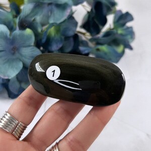 Può includere: Una pietra di palma in ossidiana liscia, di colore verde scuro e nero, con un bagliore dorato. La pietra è etichettata con il numero "1".