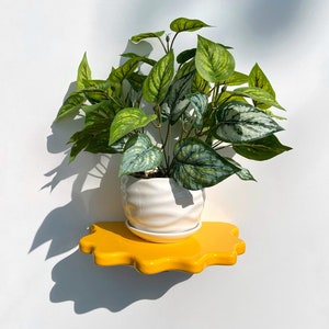 Wavy Shelf | Aesthetic Home Decor | Maximalist | Eclectic Decor | Danish Pastel | Squiggle shelf | Funky Decor | Shelves | Plant Shelf