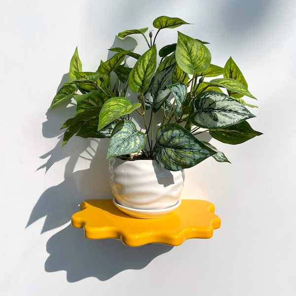 Wavy Shelf | Aesthetic Home Decor | Maximalist | Eclectic Decor | Danish Pastel | Squiggle shelf | Funky Decor | Shelves | Plant Shelf