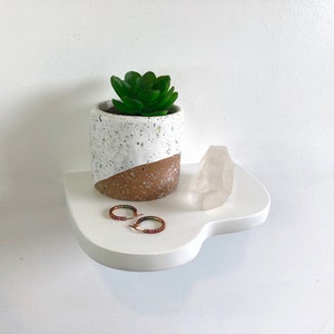 May include: A white shelf with a rounded edge, featuring a small potted succulent plant with green leaves, a clear quartz crystal, and two rainbow hoop earrings.