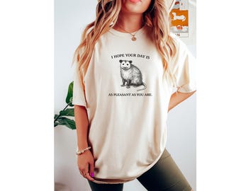 I Hope Your Day Is As Pleasant As You Are Shirt | Funny Sarcastic Quote T Shirt | Raccoon Graphic Tee | Unisex Humor Shirt