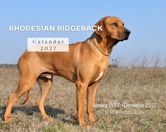 Rhodesian Ridgeback 2027 Wall Calendar, Monthly Planner with Notes & Holidays, Made in USA
