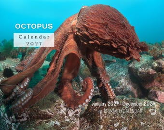 Octopus 2027 Wall Calendar, Monthly Planner with Notes & Holidays, Made in USA