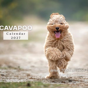 Calendrier mural 2027 Cavapoo, calendrier mural mensuel, décoration de chien mignon, imprimé USA