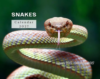 Kalendarz ścienny Snake 2027, miesięczny planer z notatkami i świętami, wyprodukowany w USA