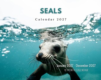 2027 Seal Wall Calendar, Cute Ocean Wildlife Monthly Wall Calendar, Coastal Marine Home Decor, USA Printed