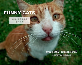 Funny Cats 2027 Wall Calendar, Monthly Planner with Notes & Holidays, Made in USA