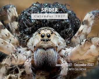2027 Spider Wall Calendar, Fascinating Arachnids Monthly Planner with Notes and Holidays, USA Printed