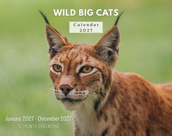 Calendario de pared Wild Big Cats 2027, planificador mensual con notas y días festivos, hecho en EE. UU.