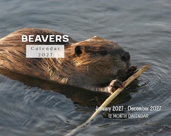 Beaver 2027 Wandkalender, Monatsplaner mit Notizen & Feiertagen, Made in USA