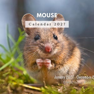 Könnte beinhalten: Ein Wandkalender für 2027 mit einer braunen Maus mit großen Ohren und einer rosa Nase. Der Text MOUSE CALENDAR 2027 ist oben aufgedruckt, während January 2027 - December 2027 12 MONTH CALENDAR in der unteren rechten Ecke zu sehen ist.