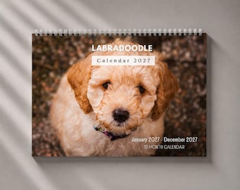 Può includere: Un calendario da parete con rilegatura a spirale che presenta una fotografia di un cucciolo di Labradoodle dal pelo riccio color marrone chiaro. Il testo sulla copertina recita LABRADOODLE Calendar 2027, January 2027 - December 2027 e 12 MONTH CALENDAR in caratteri bianchi e neri.