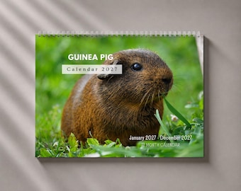 2027 Guinea Pig Wall Calendar, Cute Pocket Pet Monthly Planner with Notes and Holidays, USA Printed