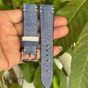 May include: A blue and white stingray leather watch strap featuring a textured, pebbled surface pattern. The strap includes a silver-toned metal buckle, white stitching accents near the lugs, and a contrasting solid white leather keeper loop.