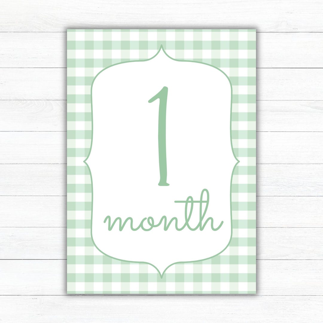 Neutral Baby Monthly Milestone Cards | Green Gingham First Year ...