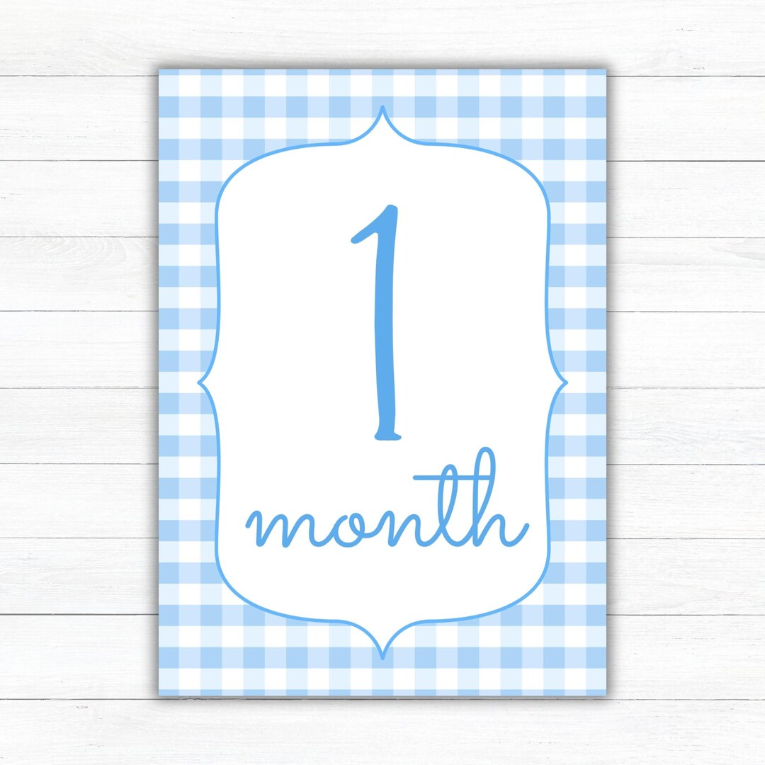 Blue Gingham Baby Milestone Cards | First Year Keepsake (digital ...