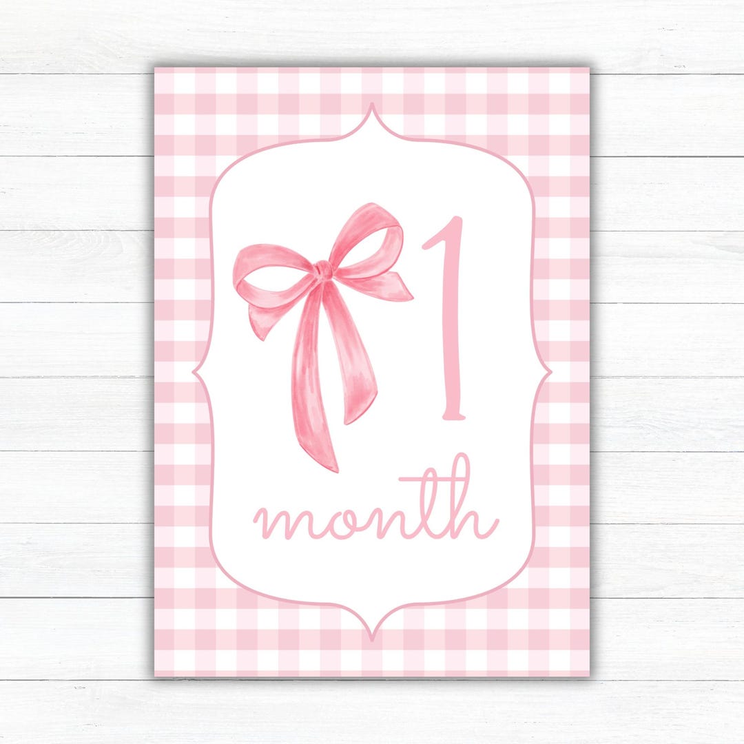 Girl Monthly Milestone Cards | Pink Gingham Printable Watercolor First ...