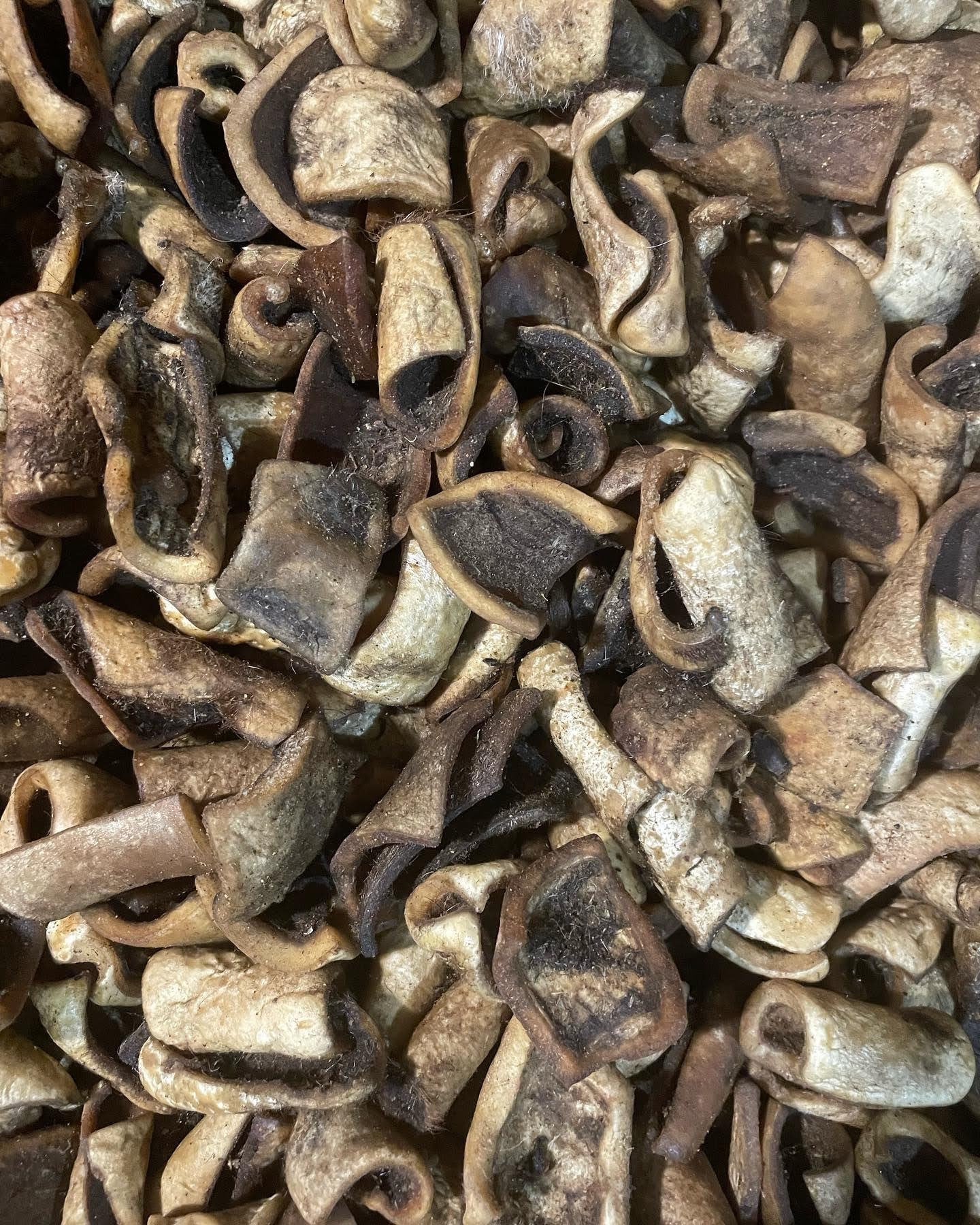 Ponmo blanco seco/tamaño mediano/piel de vaca/ponmo seco/pomo blanco frito/10 piezas