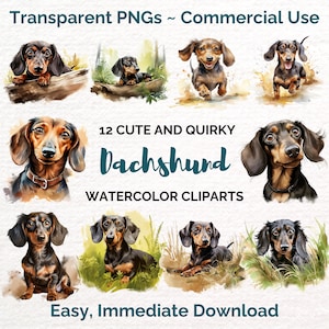 Dachshund Cliparts, 12 Cute, Quirky, Watercolor Sublimation Designs, PNG & JPG Files, Digital Illustration, Dachshund Puppy, Print on Demand