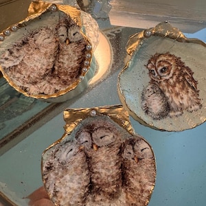 May include: Three decorative seashell ornaments, each featuring a painted owl design. The owls are depicted in shades of brown and white, with gold leaf edging and pearl accents. The shells are arranged on a reflective surface.