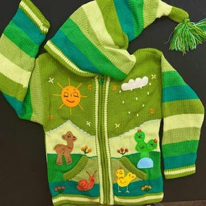 Children peruvian hoodie sweater, embroidered sweater, kid cardigan, fall winter sweater for kids, cute baby sweater, handmade sweater.