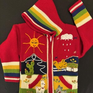 ペルーの子供用ウールセーターカーディガン刺繍ディテール、子供用 