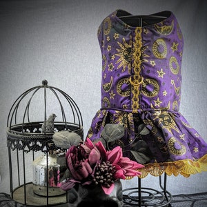 Vestito con pettorina viola per cani con stelle celesti, sole e luna / Gonna con collo a V per animali domestici di Halloween / XS, S, M, L, XL