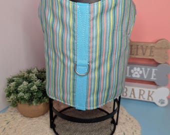 Summer blue rain Easter dog harness | stripes green mesh halter skirt | x-small, small, medium, large, x-large