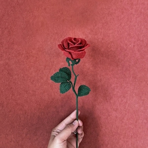 Può includere: Una singola rosa rossa all'uncinetto con foglie verdi su uno stelo, tenuta in una mano su uno sfondo rosso.
