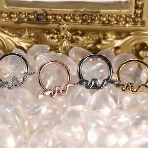 316L-Surgical-Steel Snake-Nose-Ring-Hoop Hinge Segment Seamless Click Ring Car Earrings Conch Spiral Tragus Piercing Jewelry