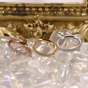 316L Sugar Steel Hinged Segment with CZ Nose Earring Hoop