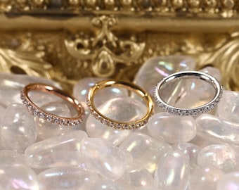 316L Sugar Steel Hinged Segment with CZ Nose Earring Hoop