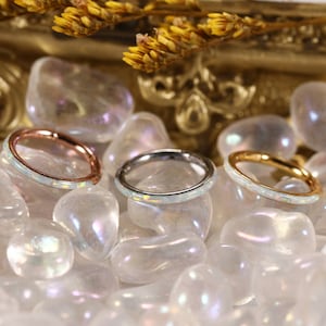 16G While-Opal Stainless Steel Seamless Hinged Segment Clicker Ring Septum Conch Helix Cartilage Nose-Ring-Piercing