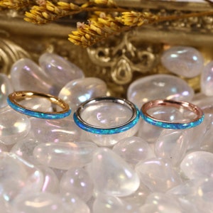 16G Opala Aço Inoxidável Sem Costura Articulada Segmento Clicker Anel Septo Concha Hélice Cartilagem Nariz Piercing